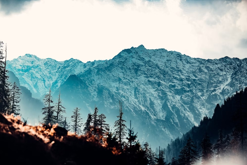 Shimla - Kufri - Manali - Rohtang Pass